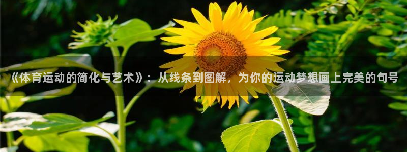 k1体育十年品牌官网